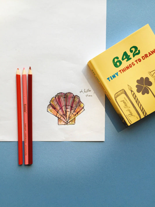 642 Tiny Things to Draw (Diary or Journal)