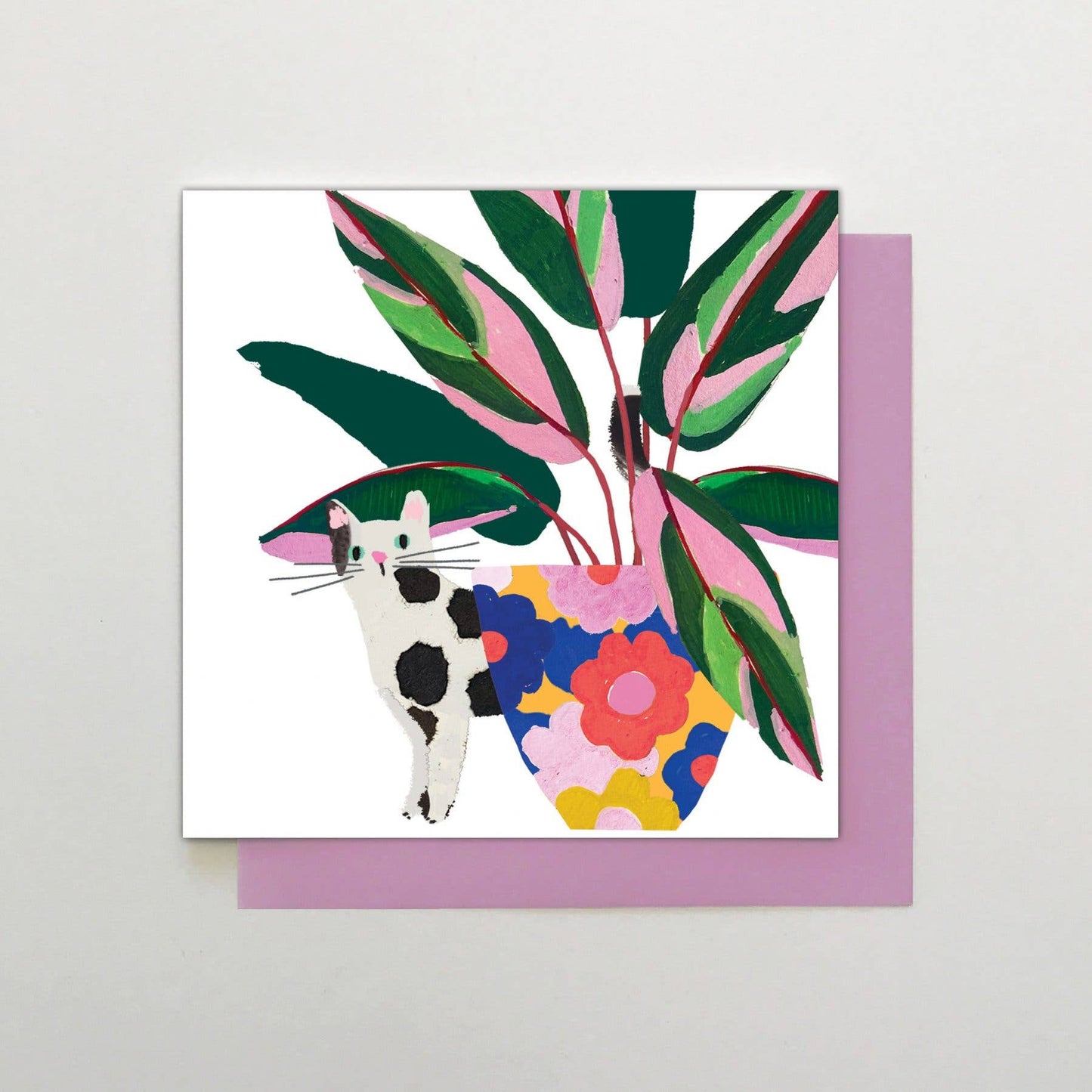 Cat & Plant Card