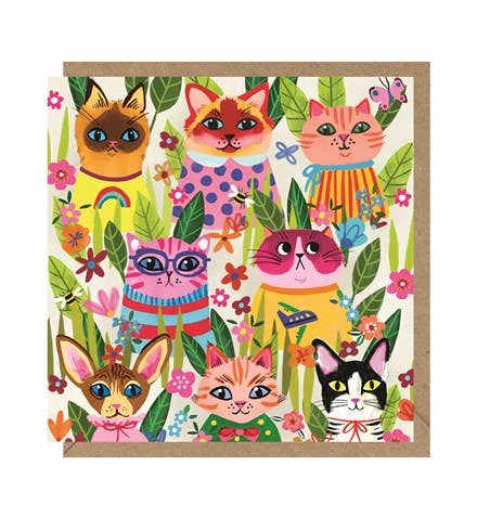 Colourful Cats Card