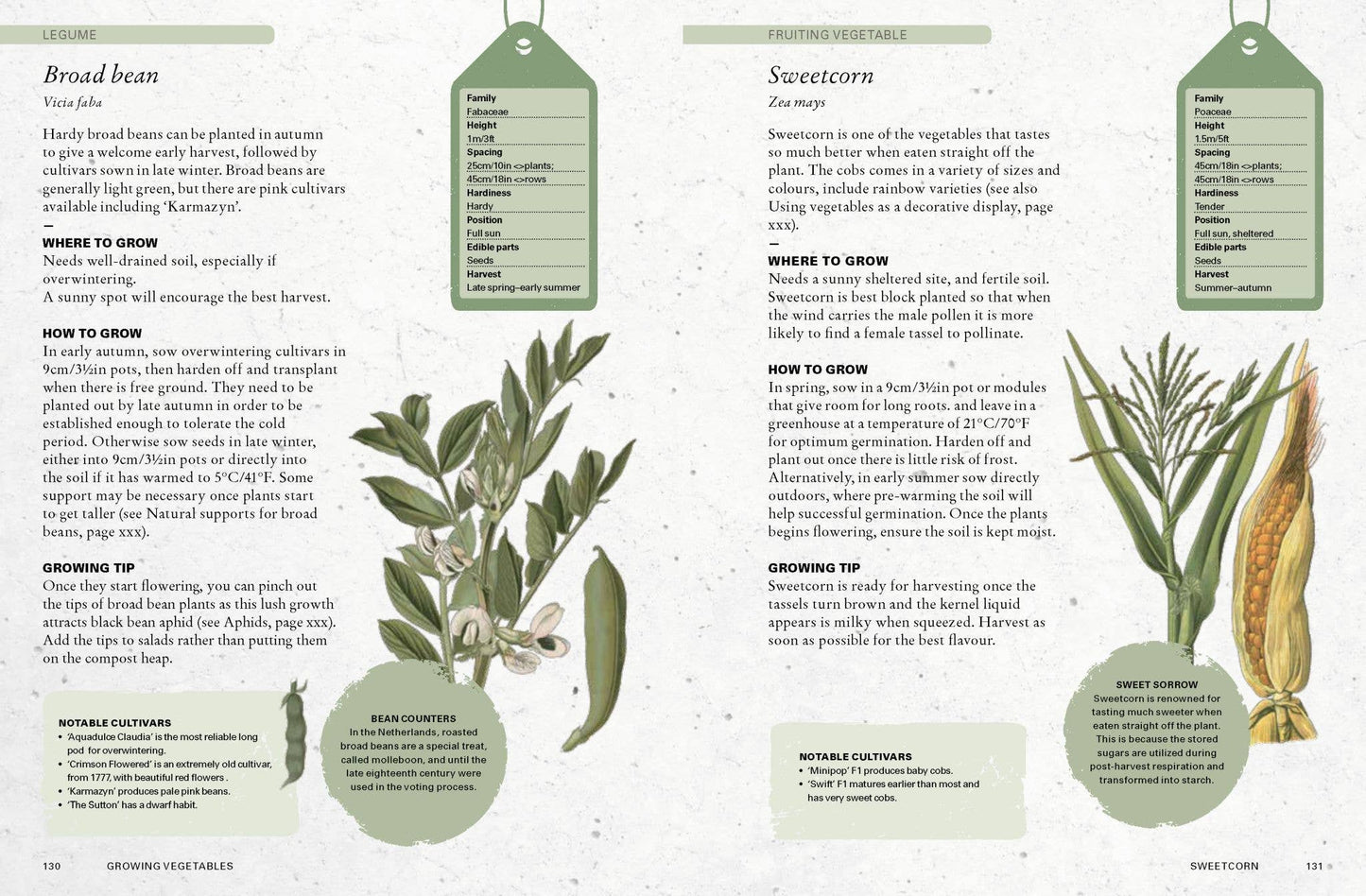 The Kew Gardener's Guide to Growing Vegetables