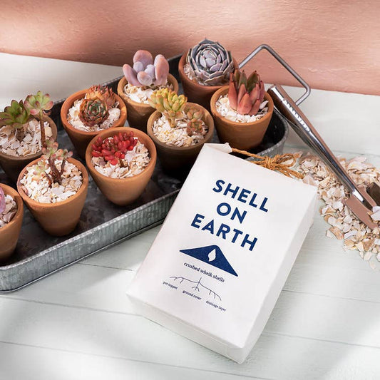 Crushed Whelk Shells - Mini Bag
