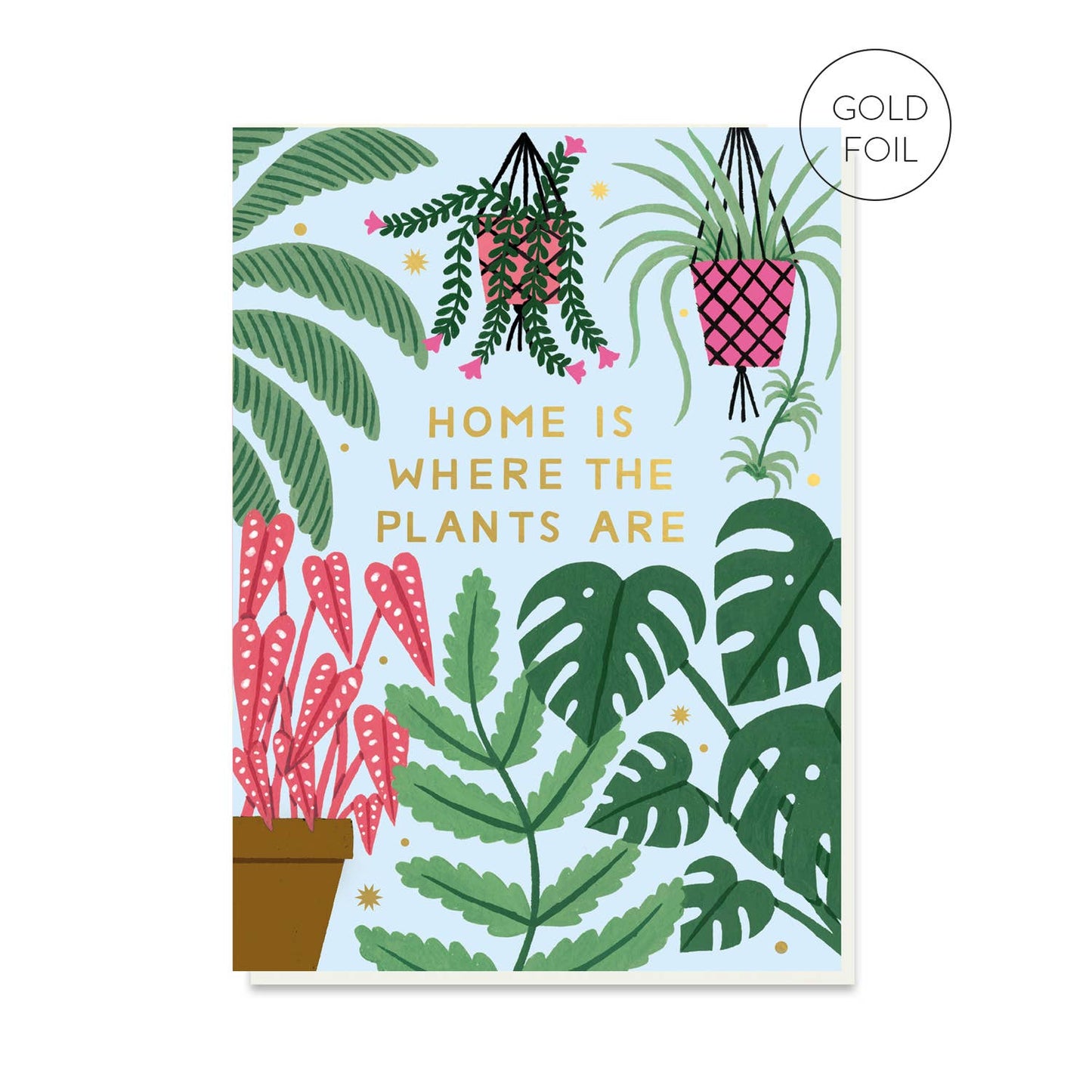 Home Houseplants Card