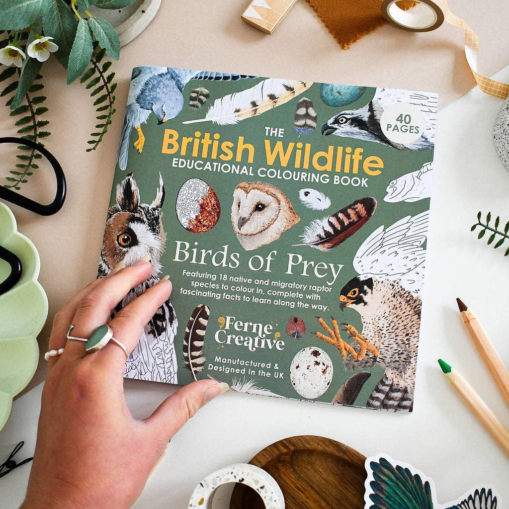 British Bird of Prey Educational Colouring Book