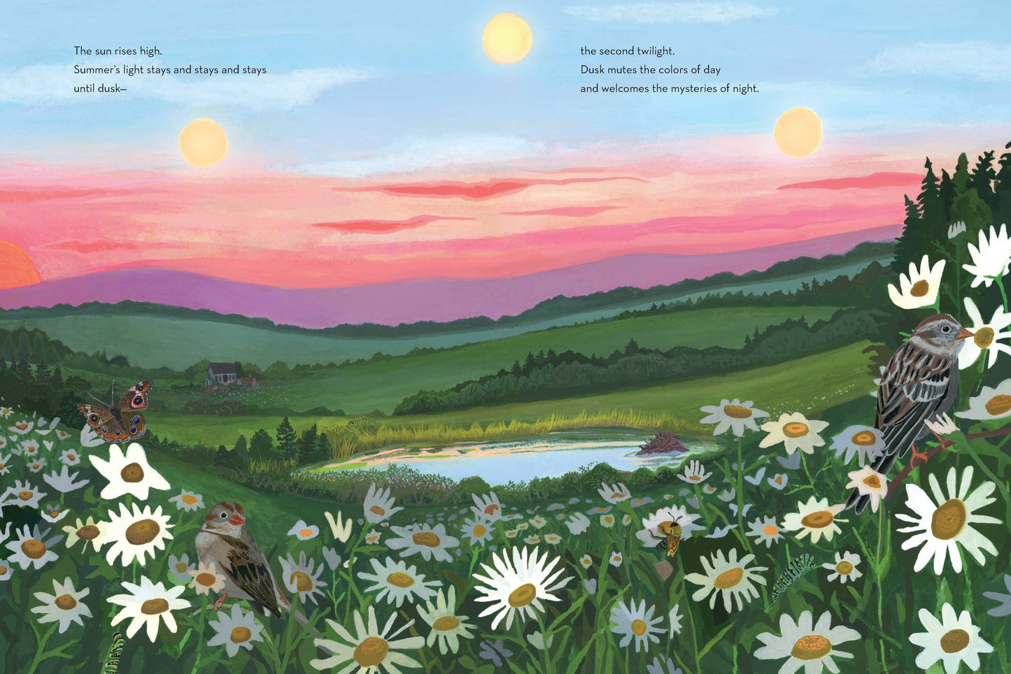 When Twilight Comes - The Animals and Plants That Bring Dawn and Dusk to Life (Hardback)