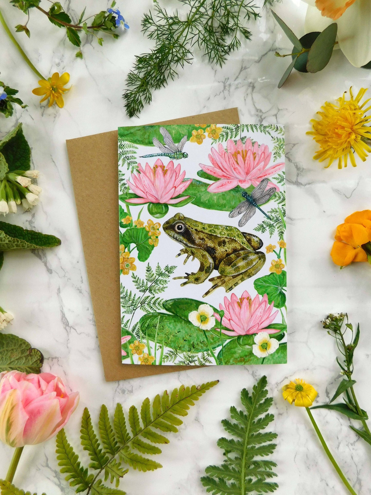 Frog Greetings Card