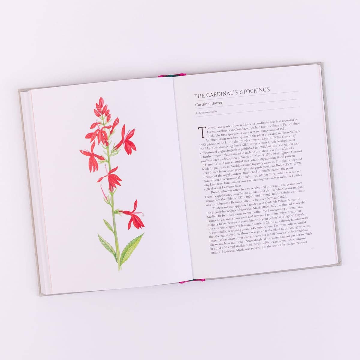A Short History Of Flowers