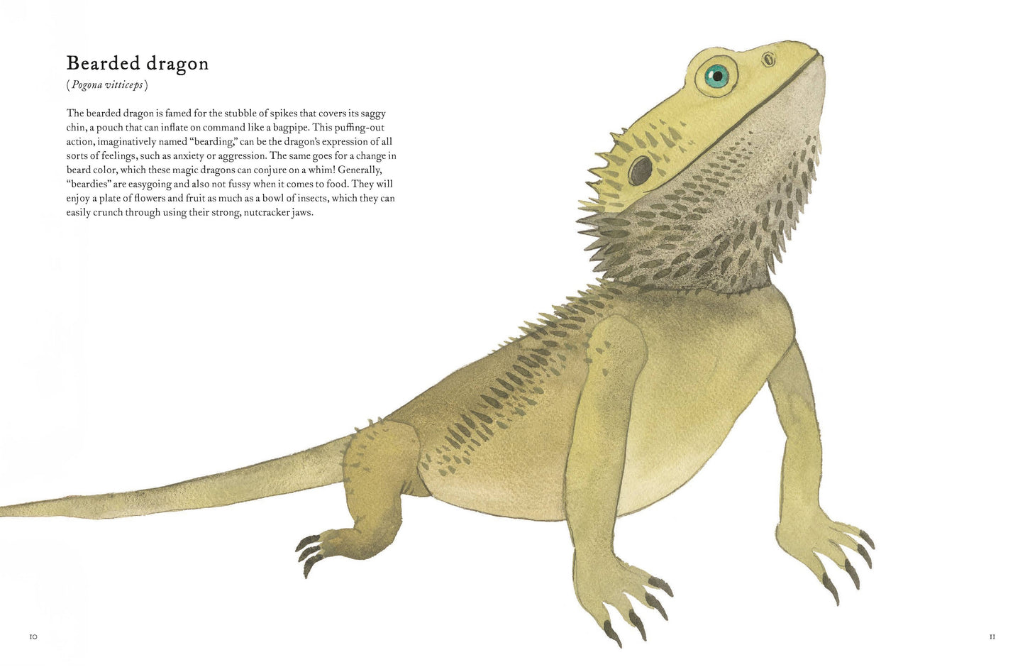 The Colorful World of Reptiles (Hardback)