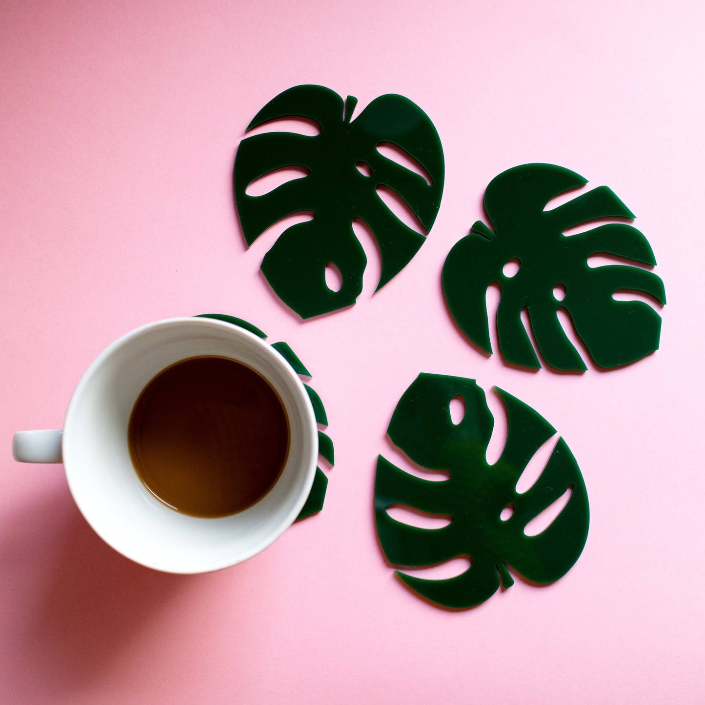 Cheese Plant Leaf Coaster