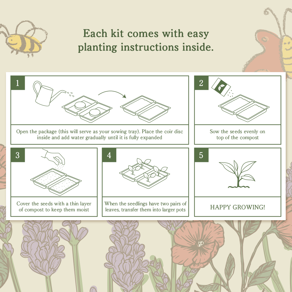 Little Gardener’s Mini Growing Kit