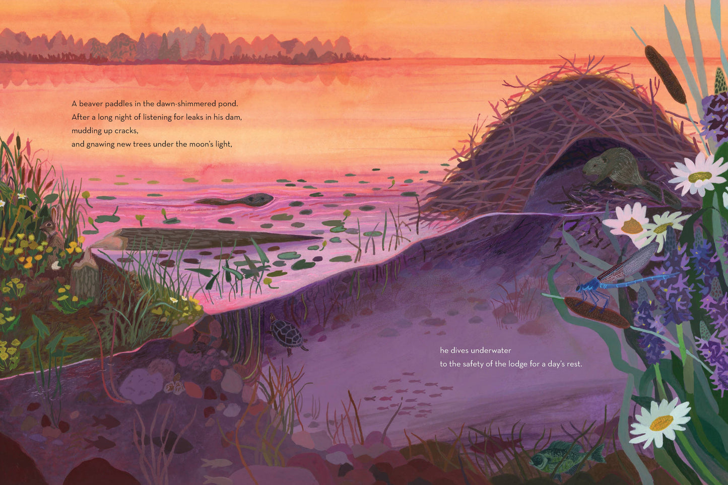 When Twilight Comes - The Animals and Plants That Bring Dawn and Dusk to Life (Hardback)
