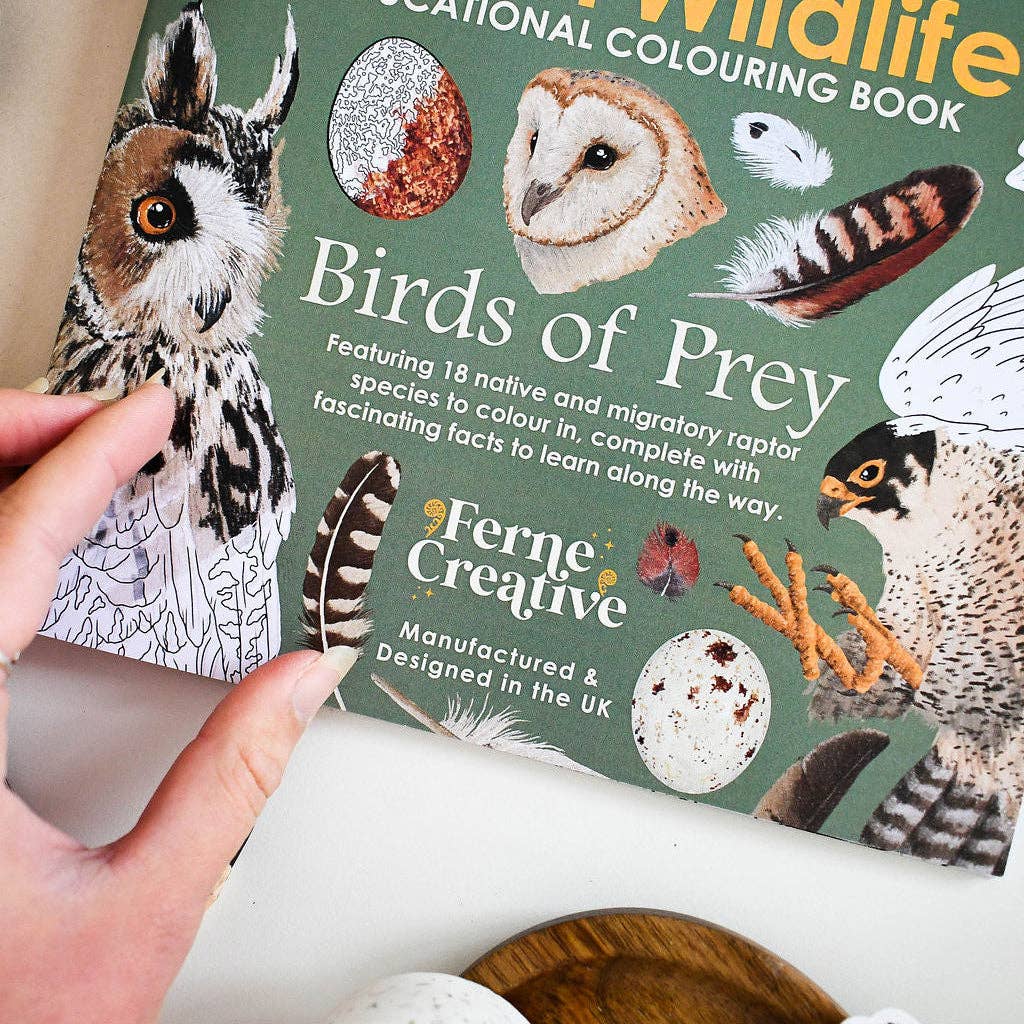British Bird of Prey Educational Colouring Book