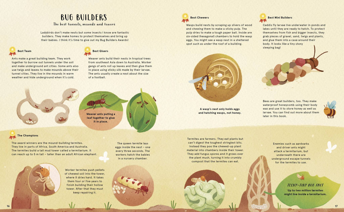 The Secret Life of Bugs, Bees & Trees