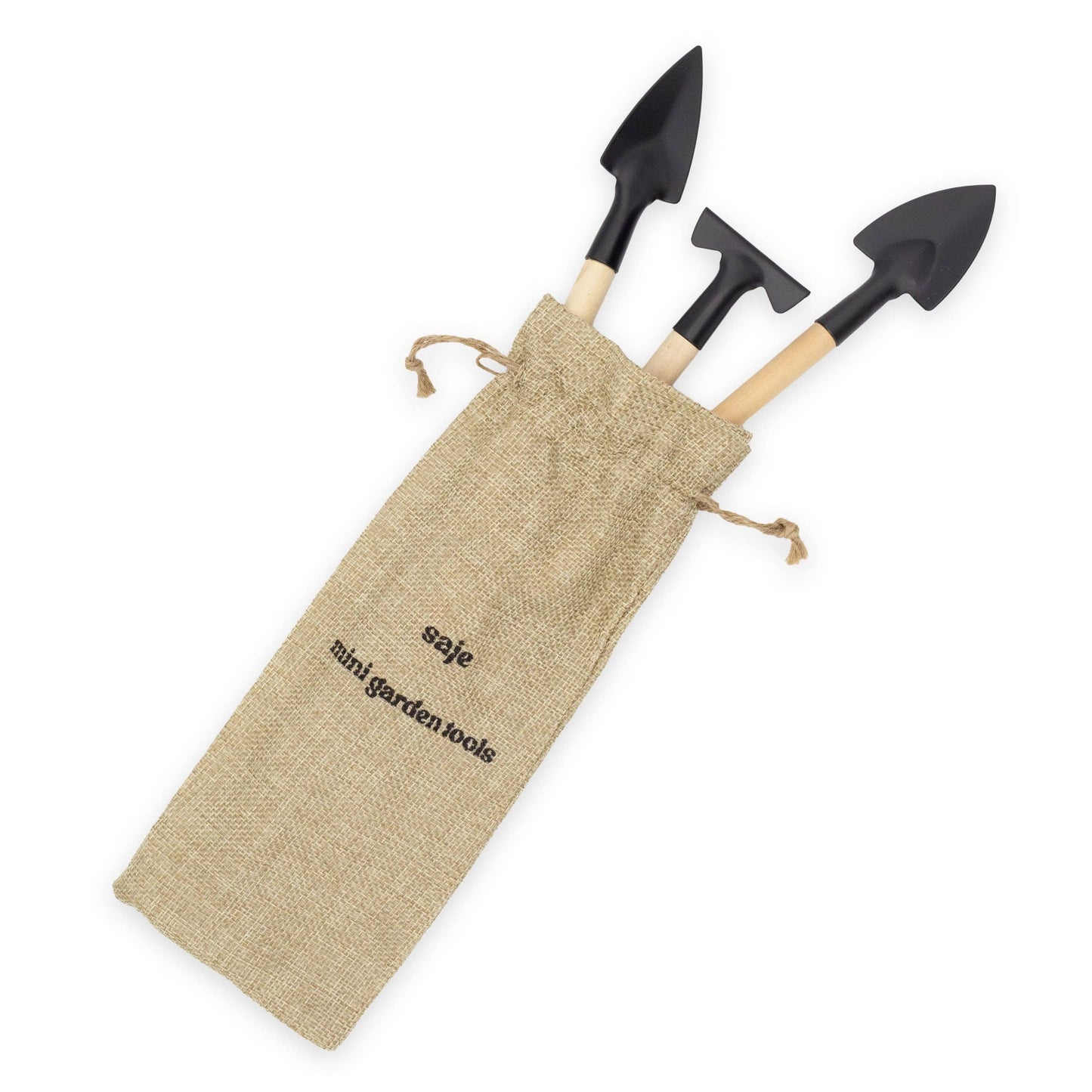 House Plant Care Kit