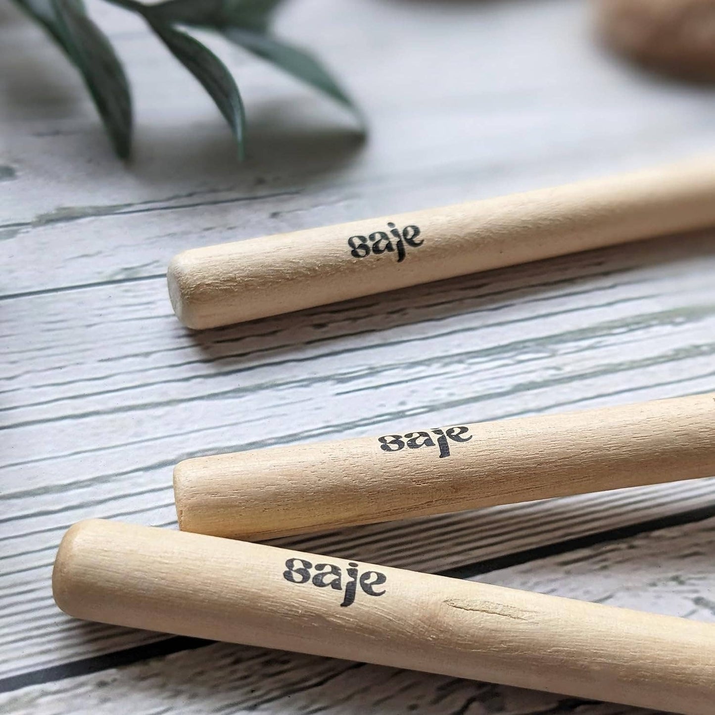 House Plant Care Kit