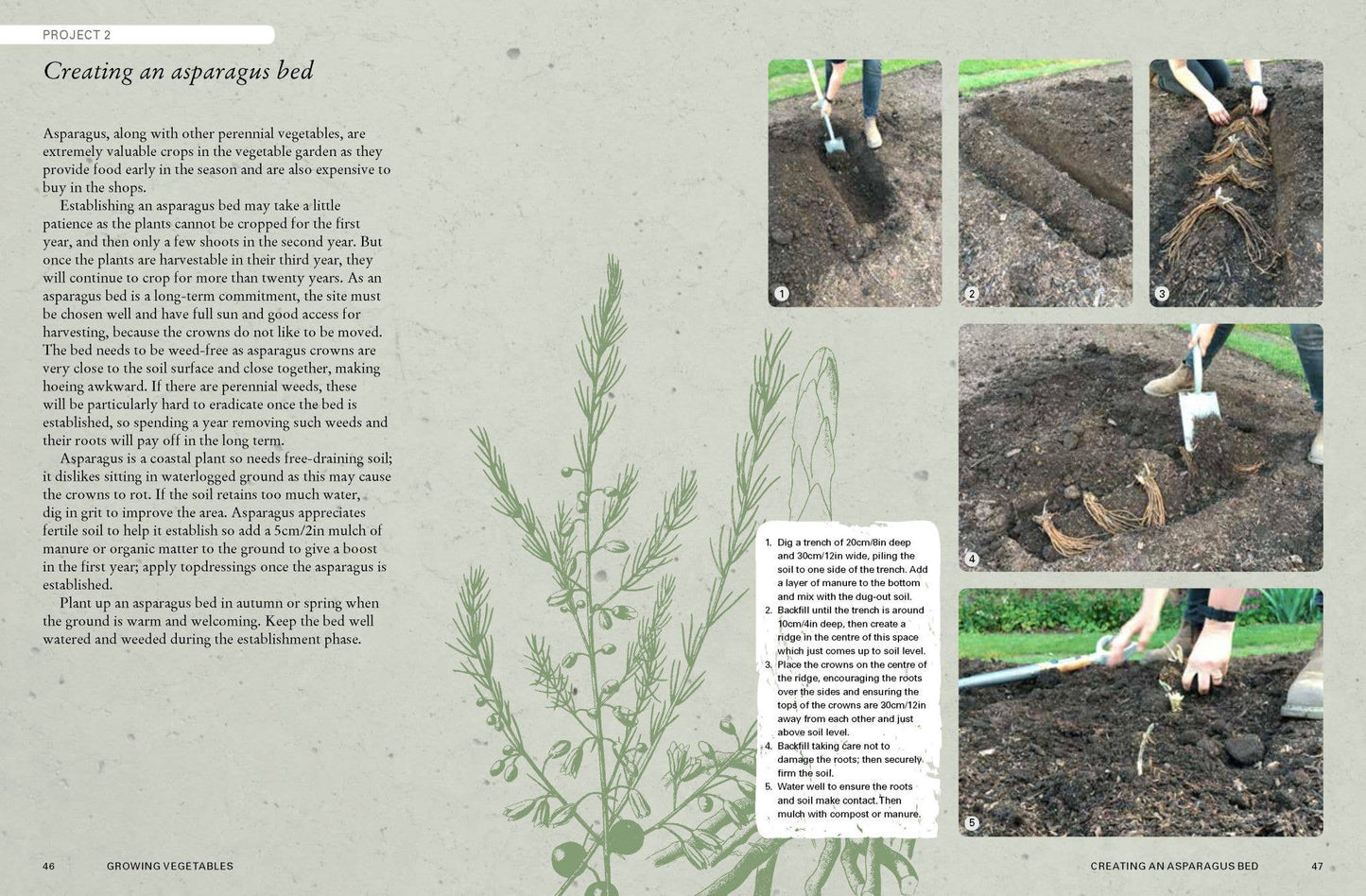 The Kew Gardener's Guide to Growing Vegetables
