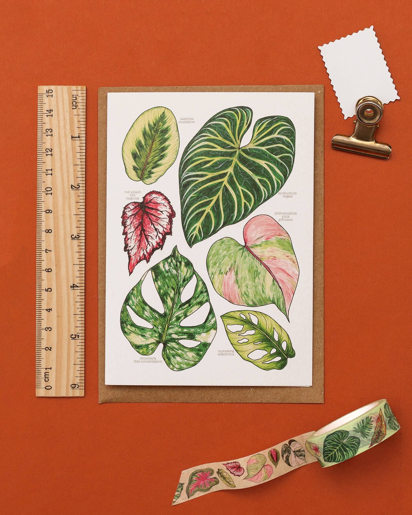 Tropical Leaves Greeting Card