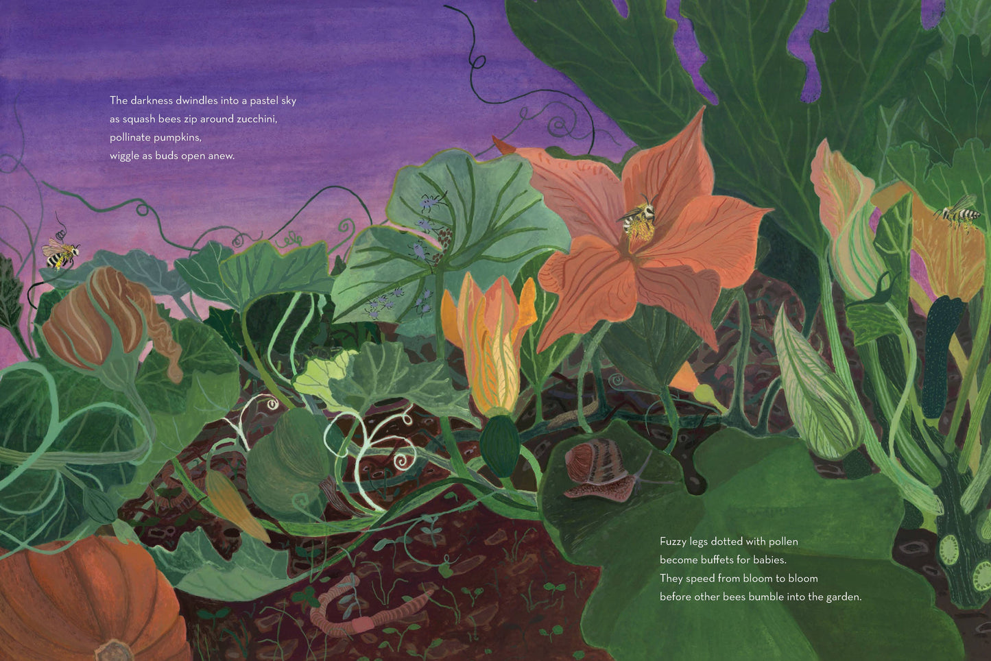 When Twilight Comes - The Animals and Plants That Bring Dawn and Dusk to Life (Hardback)