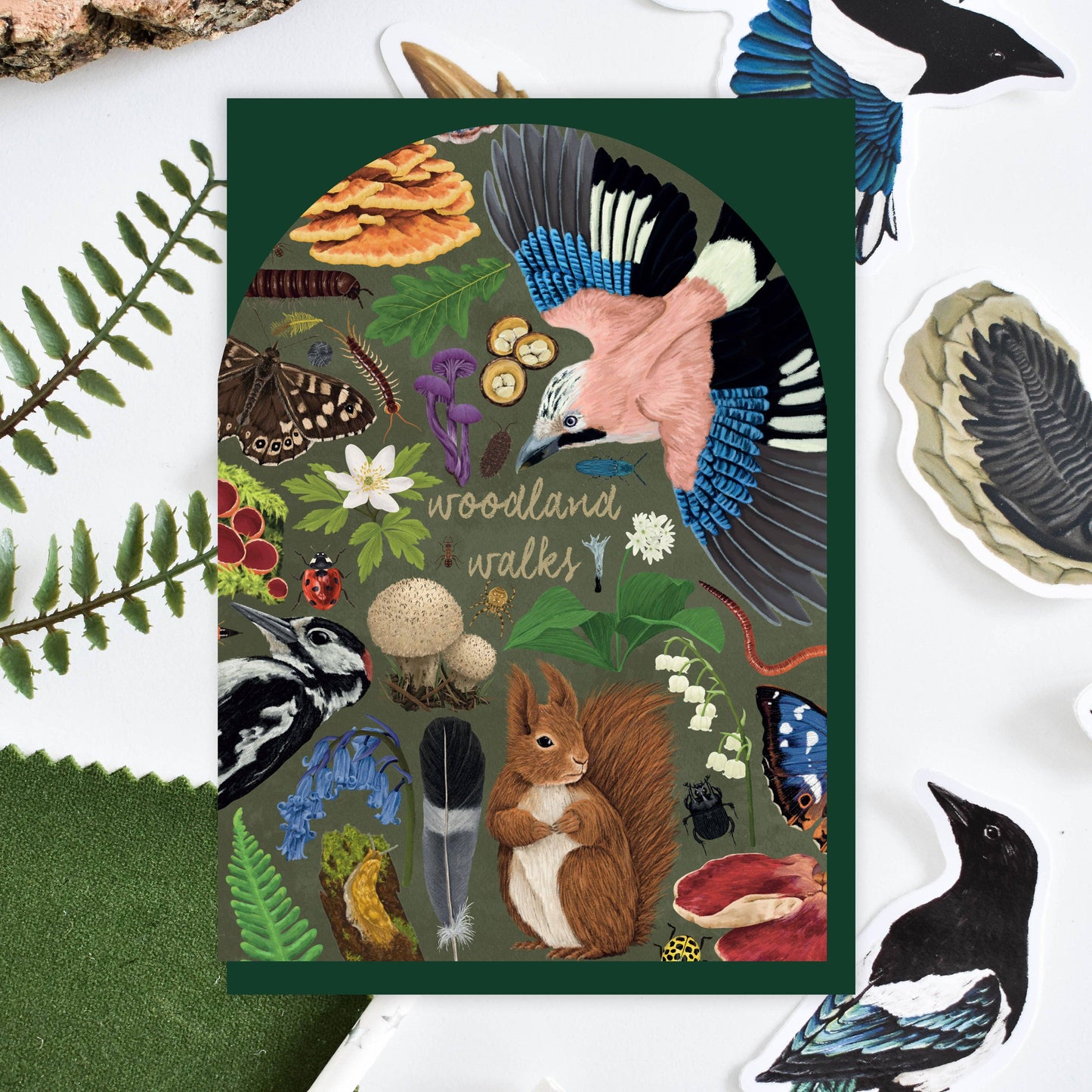 'Woodland Walks' Card