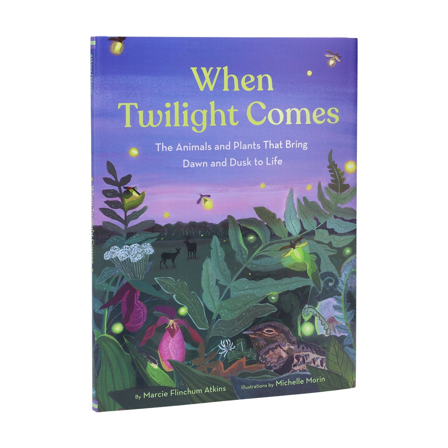 When Twilight Comes - The Animals and Plants That Bring Dawn and Dusk to Life (Hardback)