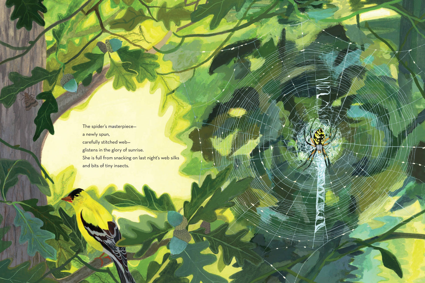 When Twilight Comes - The Animals and Plants That Bring Dawn and Dusk to Life (Hardback)
