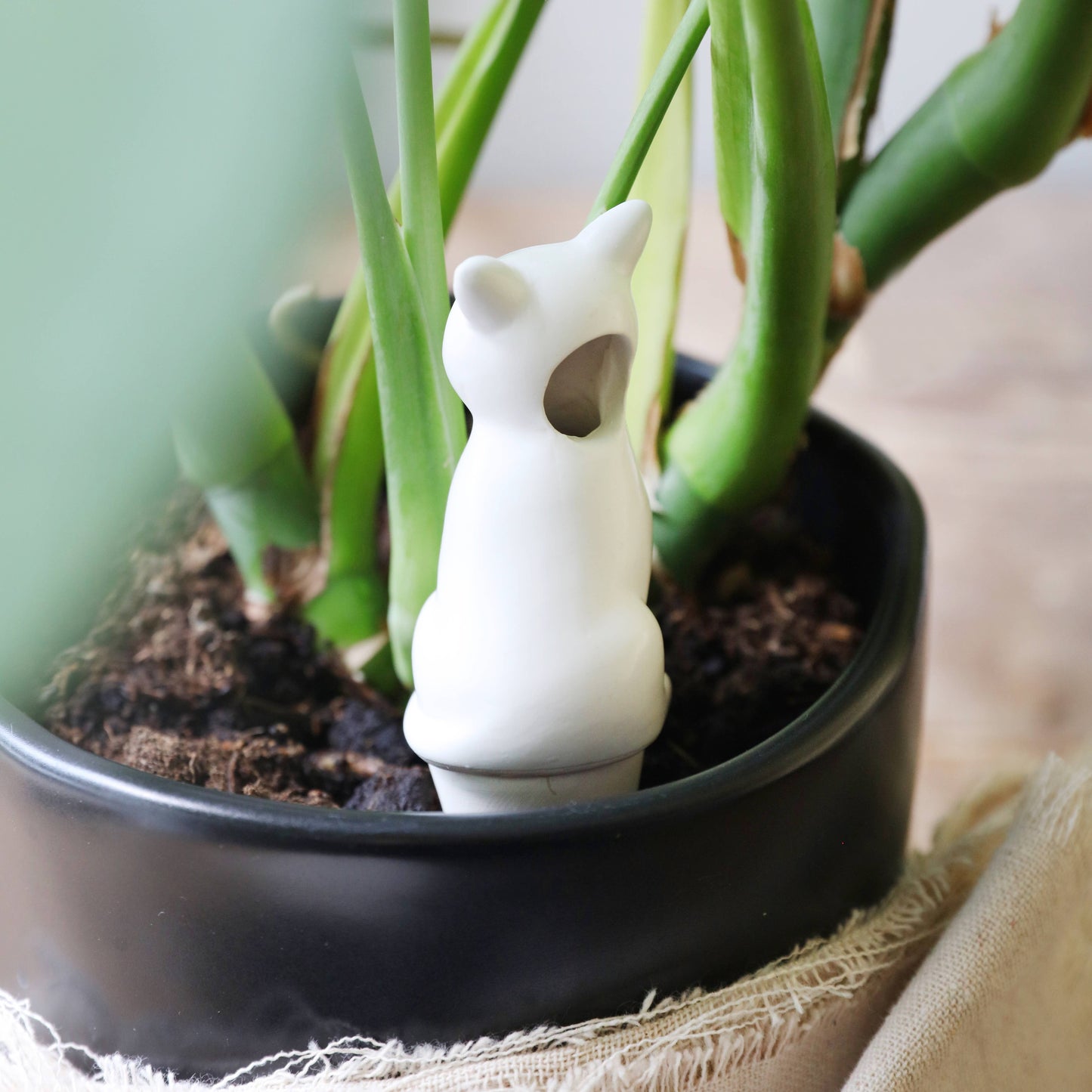 Cat Plant Watering Spike