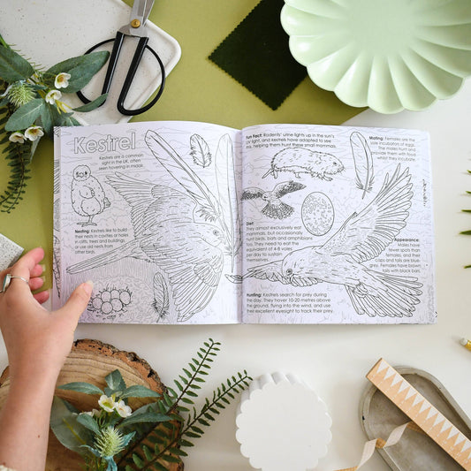 British Bird of Prey Educational Colouring Book