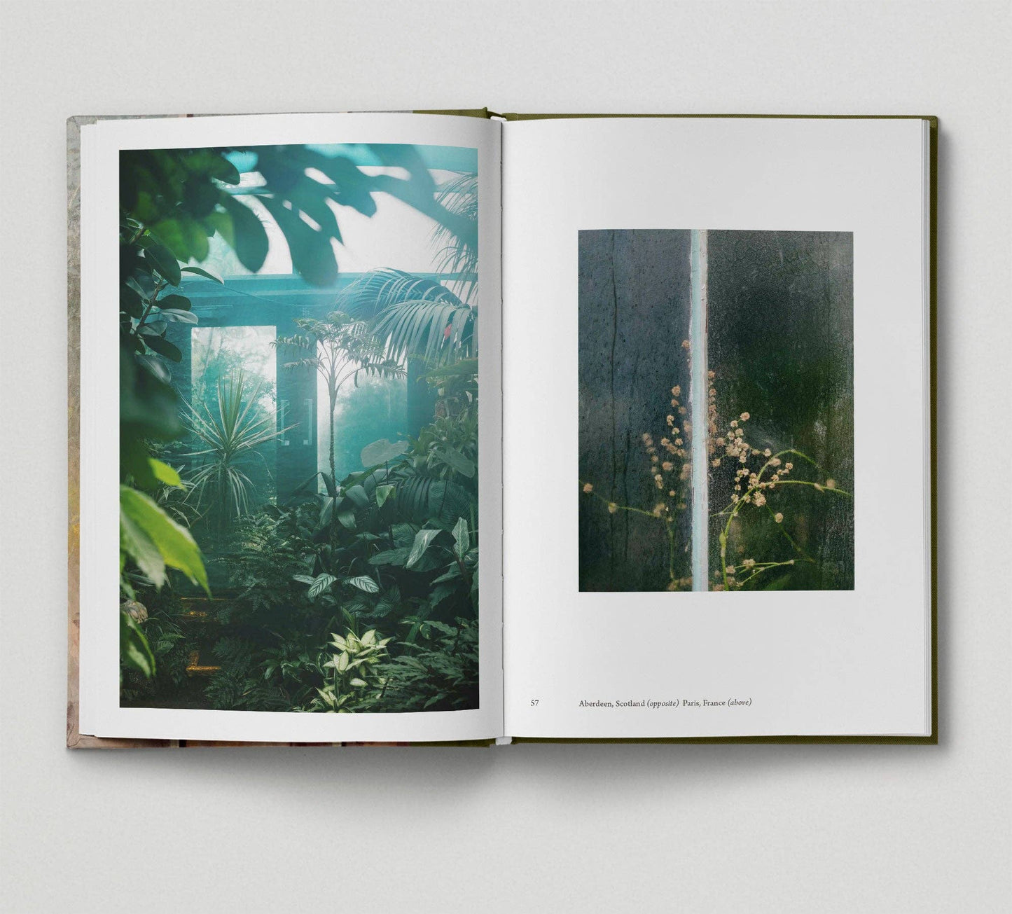 Botanical