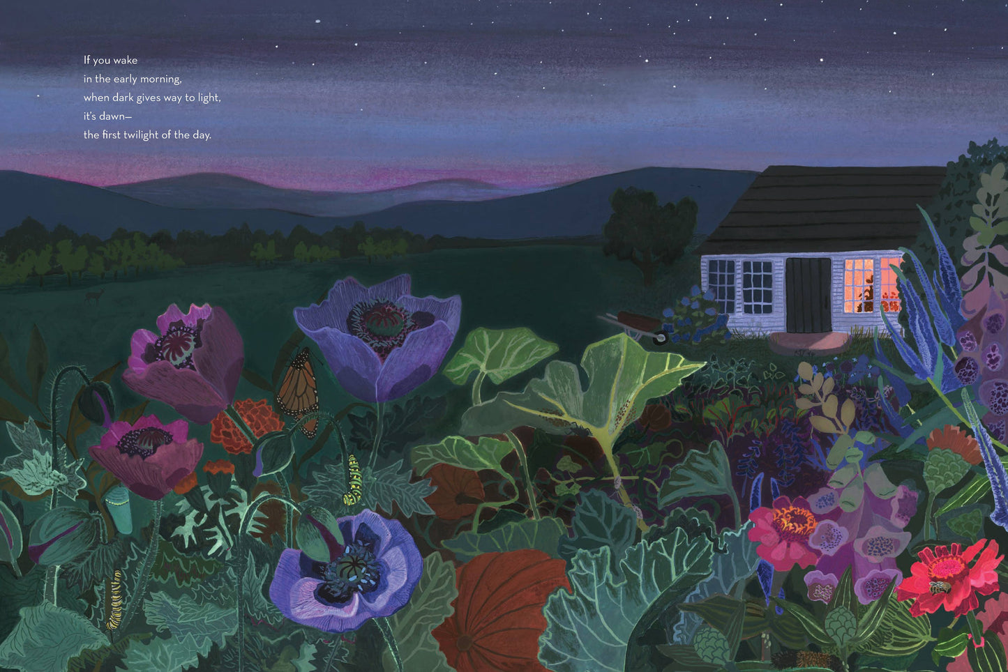 When Twilight Comes - The Animals and Plants That Bring Dawn and Dusk to Life (Hardback)