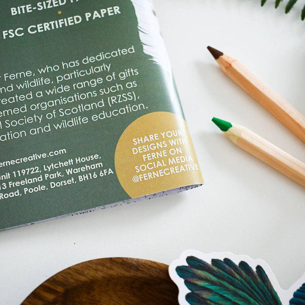British Bird of Prey Educational Colouring Book