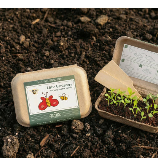 Little Gardener’s Mini Growing Kit