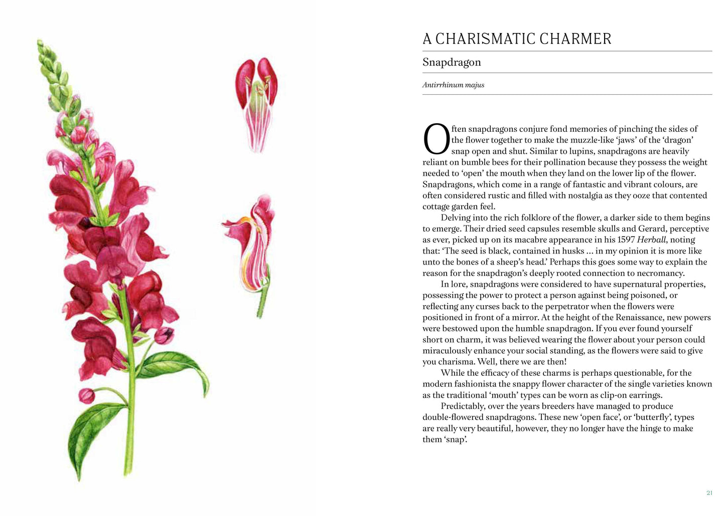 A Short History Of Flowers