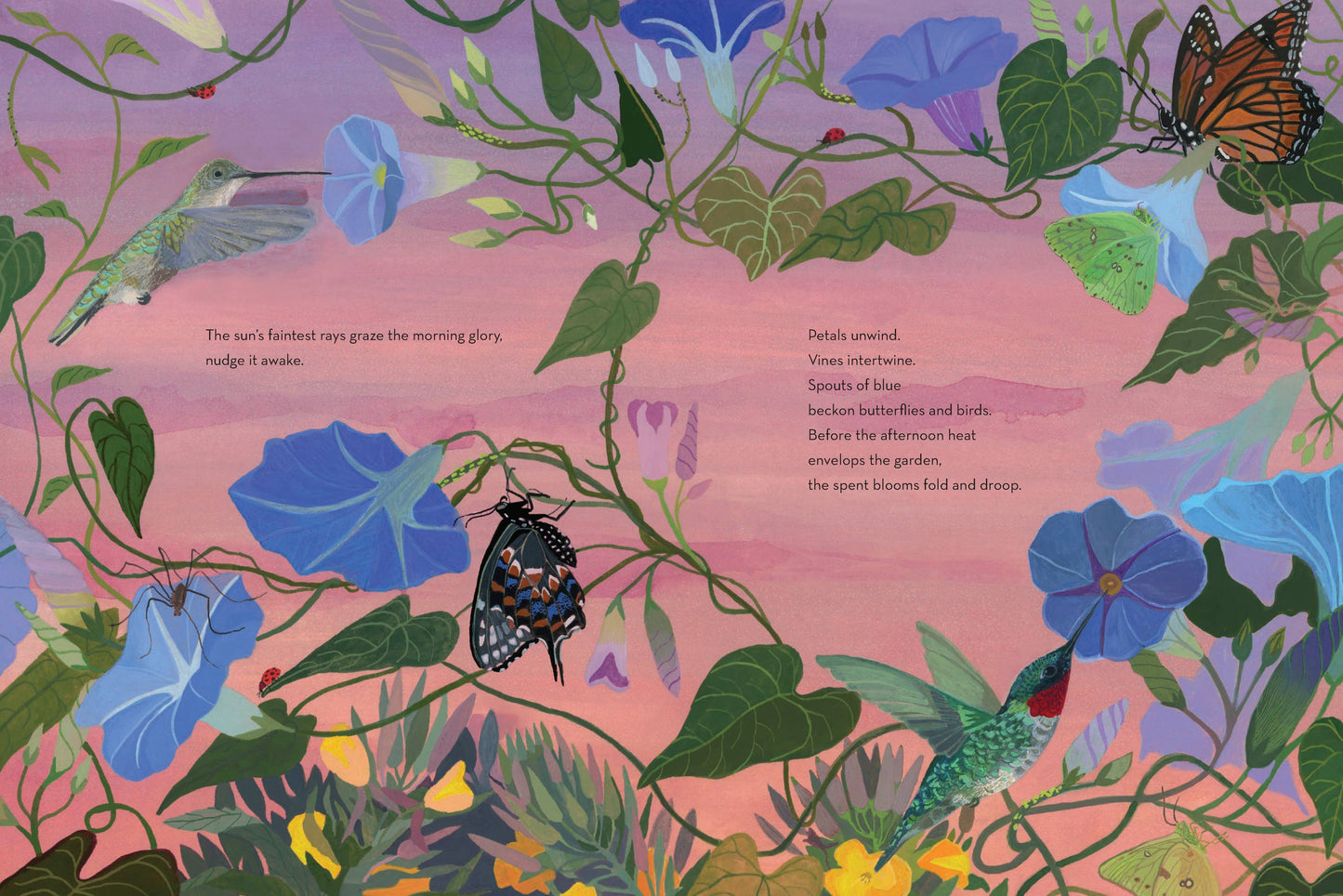 When Twilight Comes - The Animals and Plants That Bring Dawn and Dusk to Life (Hardback)