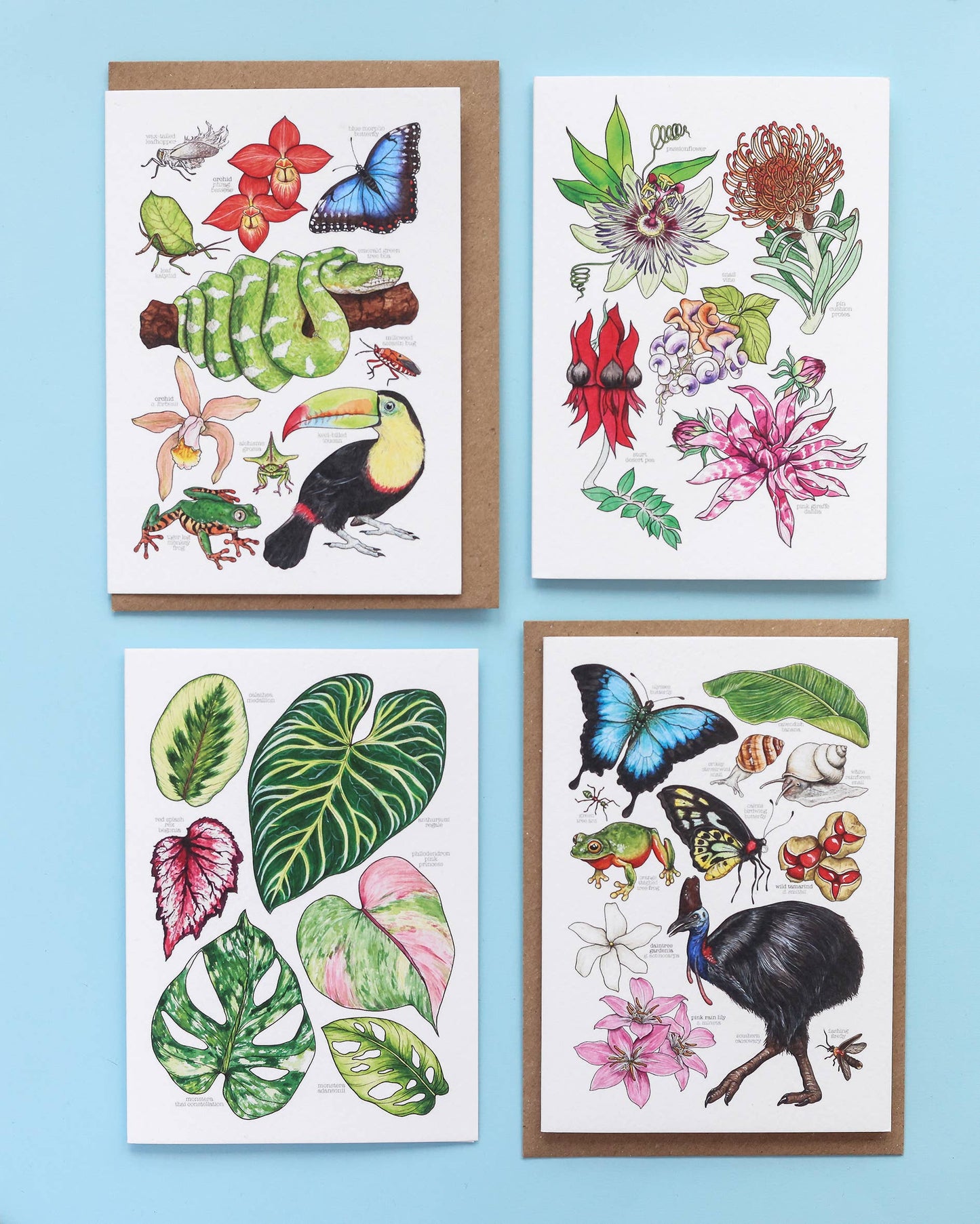 Tropical Leaves Greeting Card