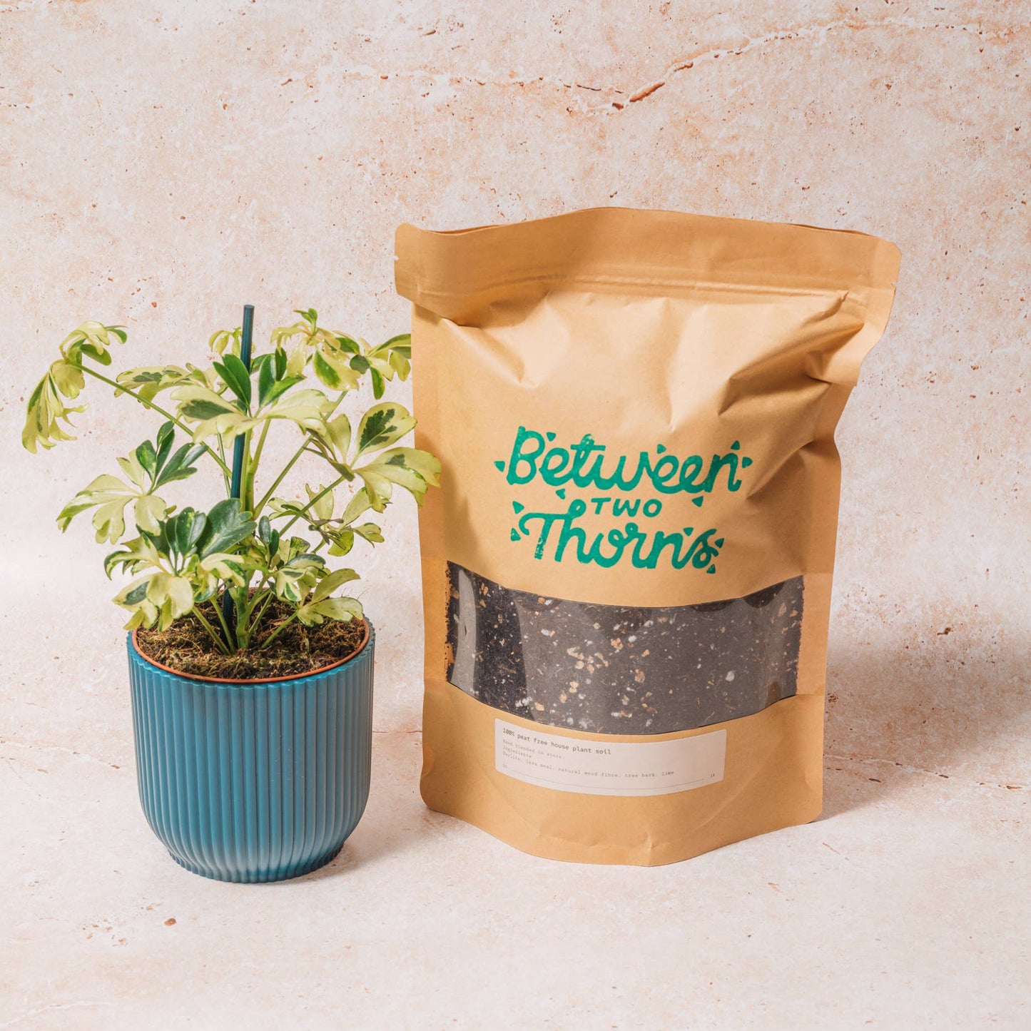 Houseplant Soil With Substrates