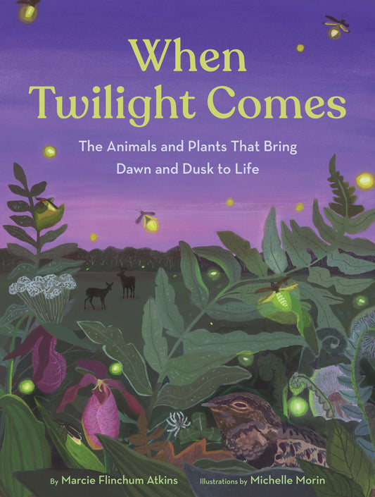 When Twilight Comes - The Animals and Plants That Bring Dawn and Dusk to Life (Hardback)