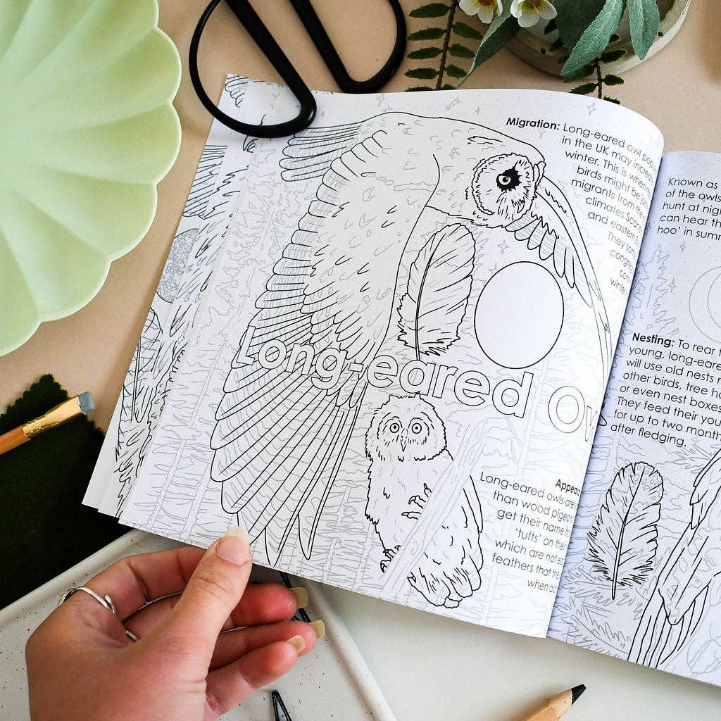 British Bird of Prey Educational Colouring Book