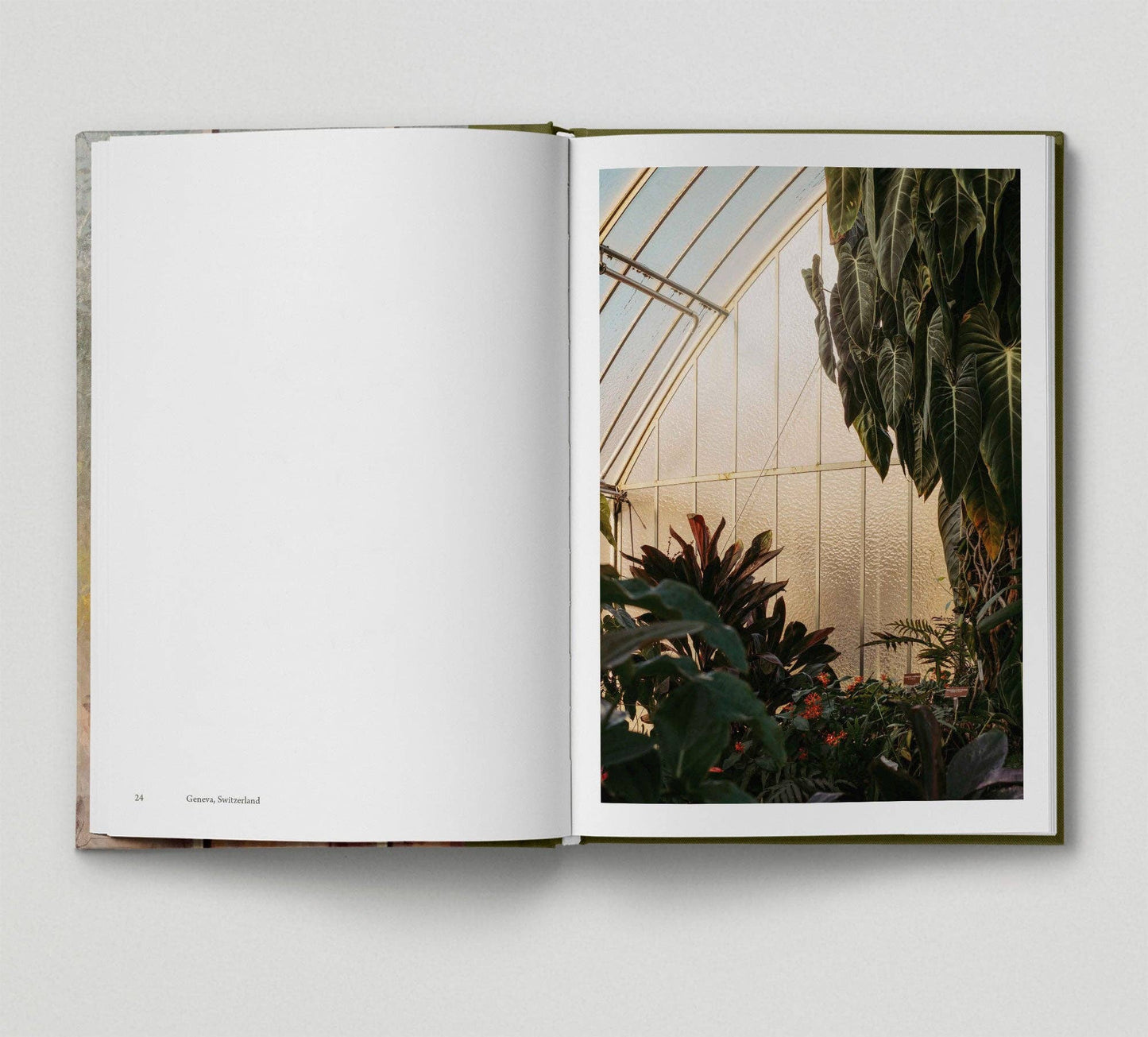 Botanical