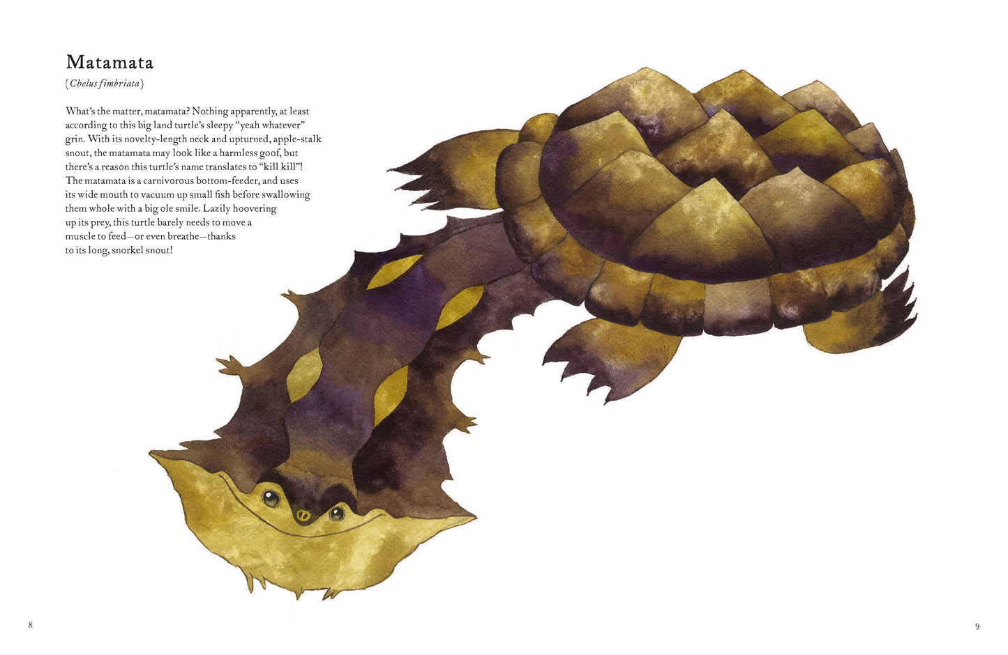 The Colorful World of Reptiles (Hardback)