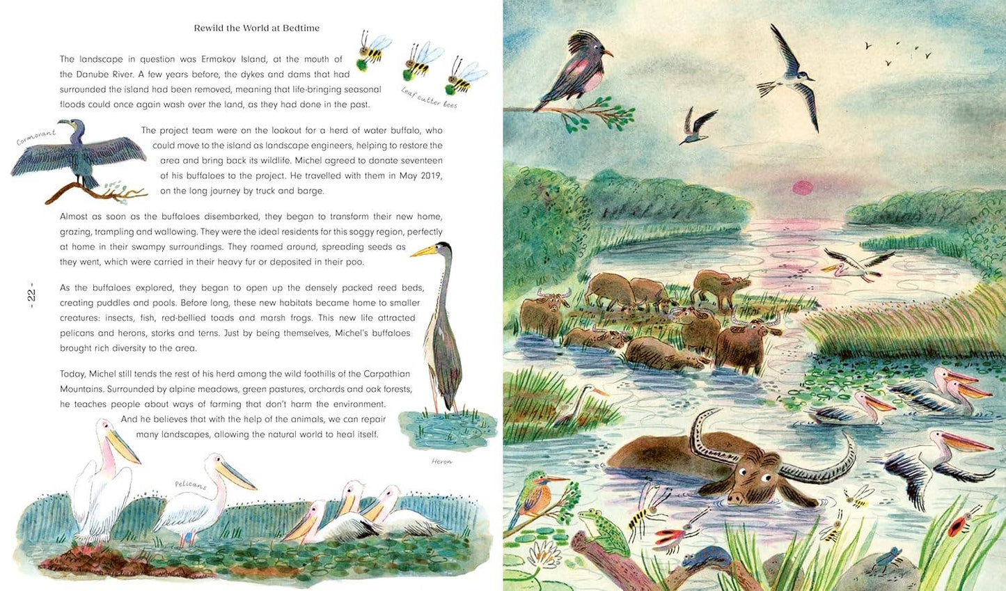 Rewild the World at Bedtime