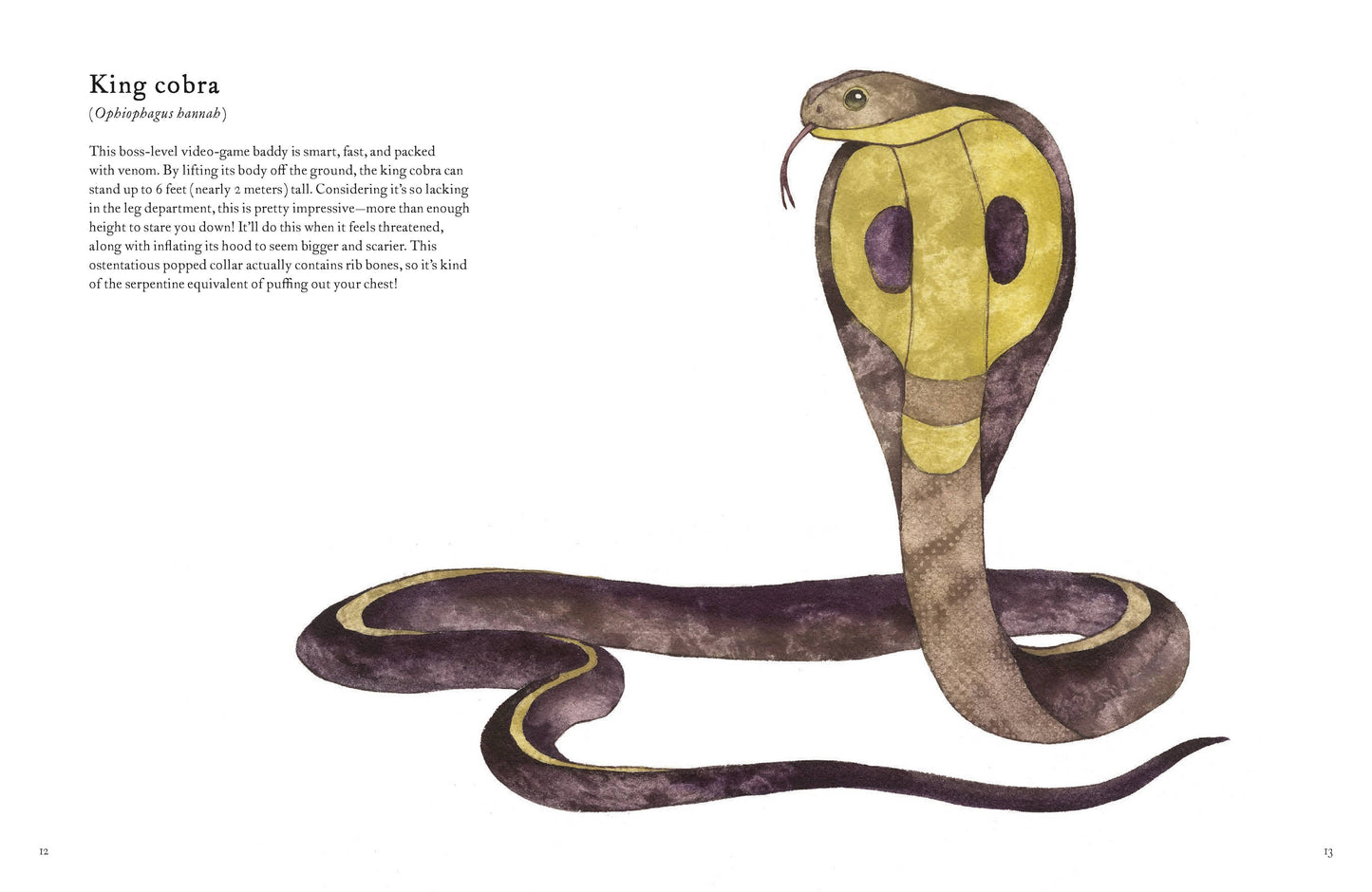 The Colorful World of Reptiles (Hardback)