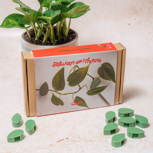Plant Clips
