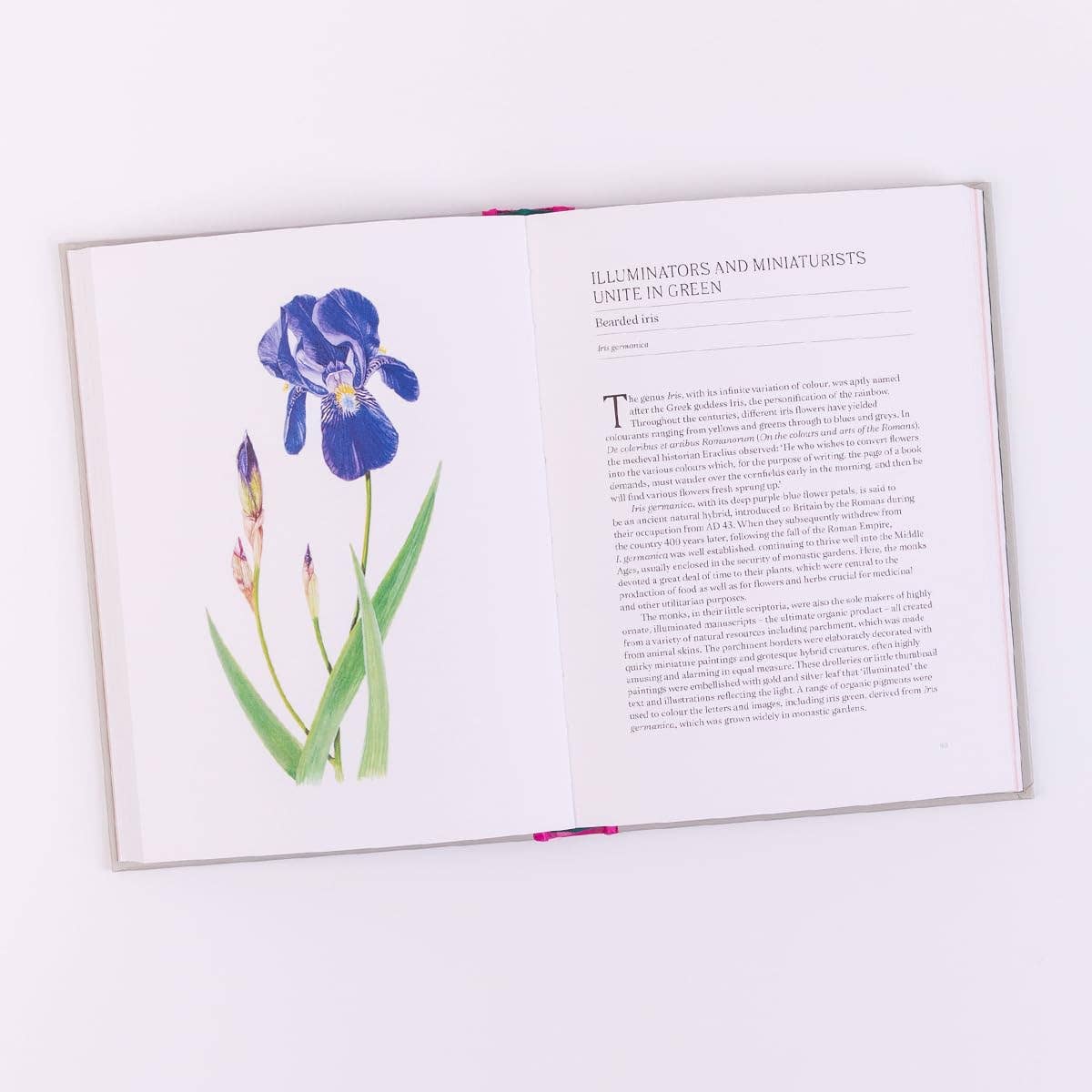 A Short History Of Flowers