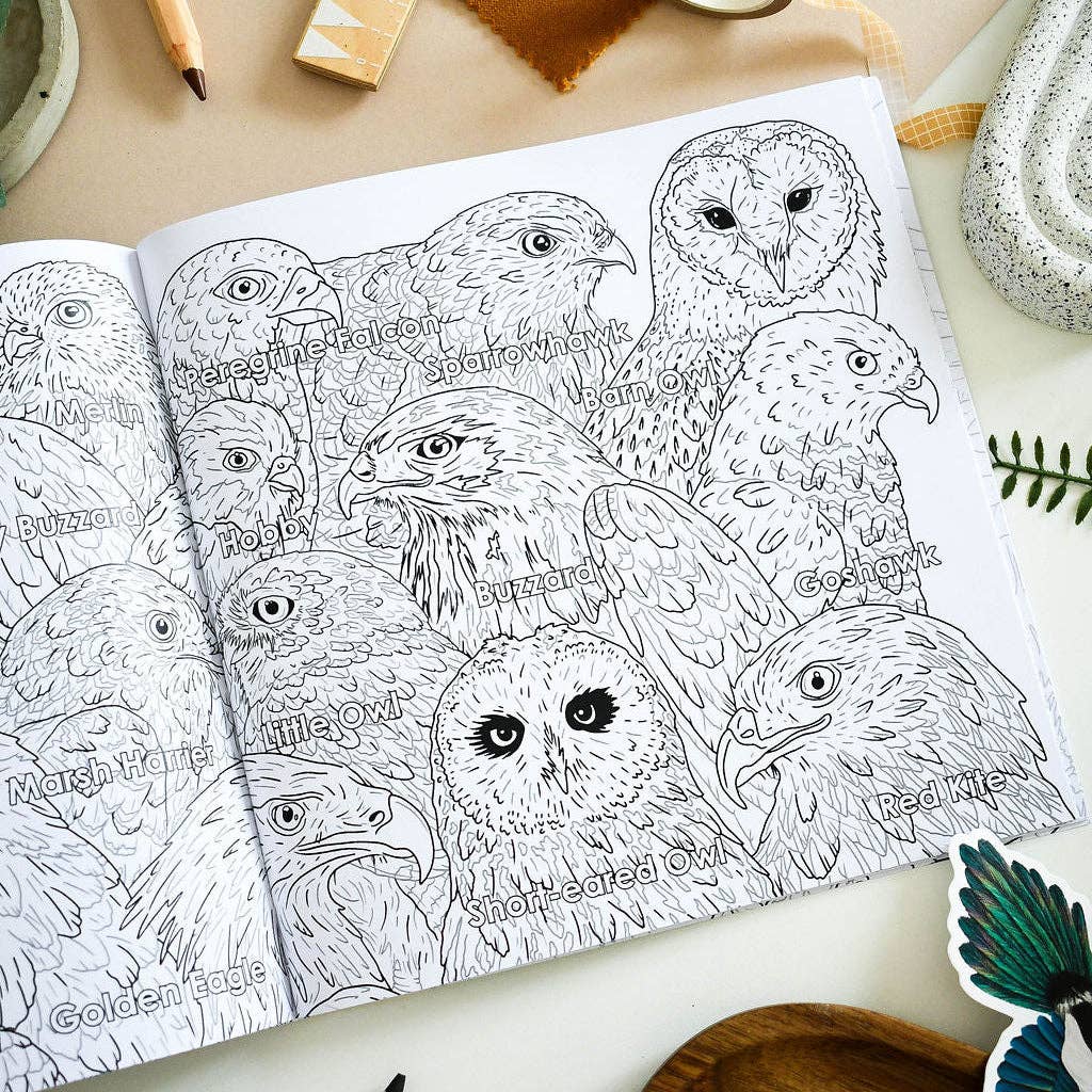 British Bird of Prey Educational Colouring Book