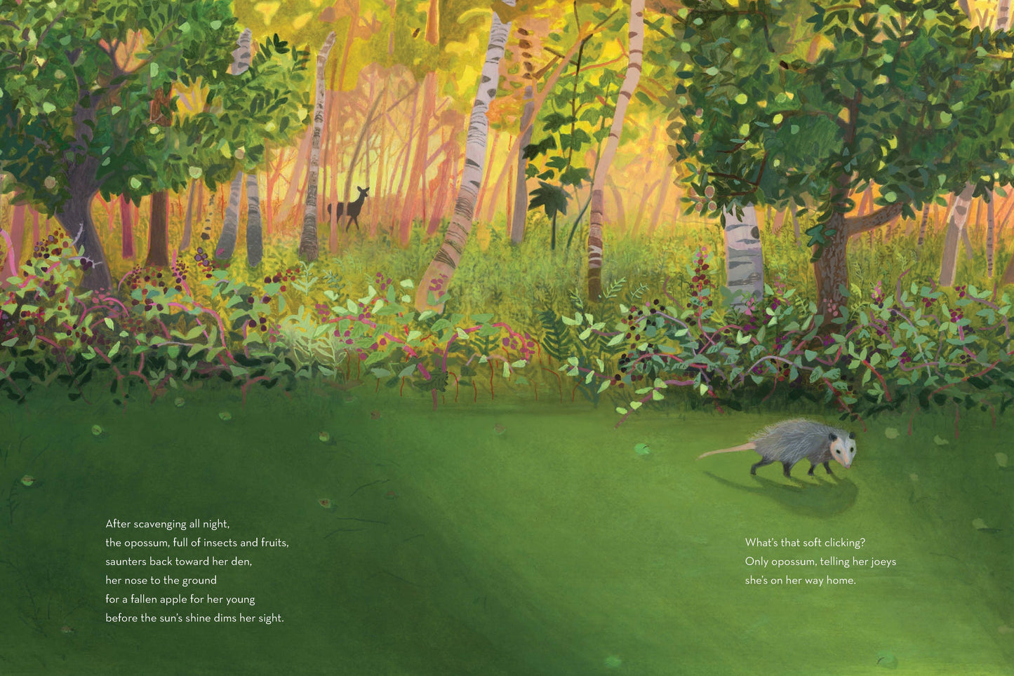 When Twilight Comes - The Animals and Plants That Bring Dawn and Dusk to Life (Hardback)