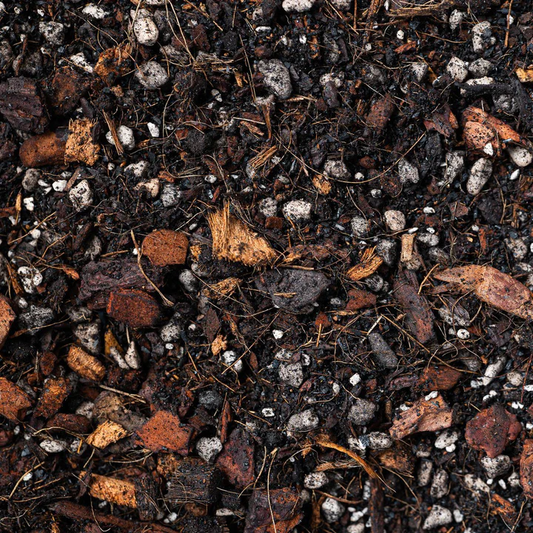 Jungle Mix - Premium Houseplant Potting Soil