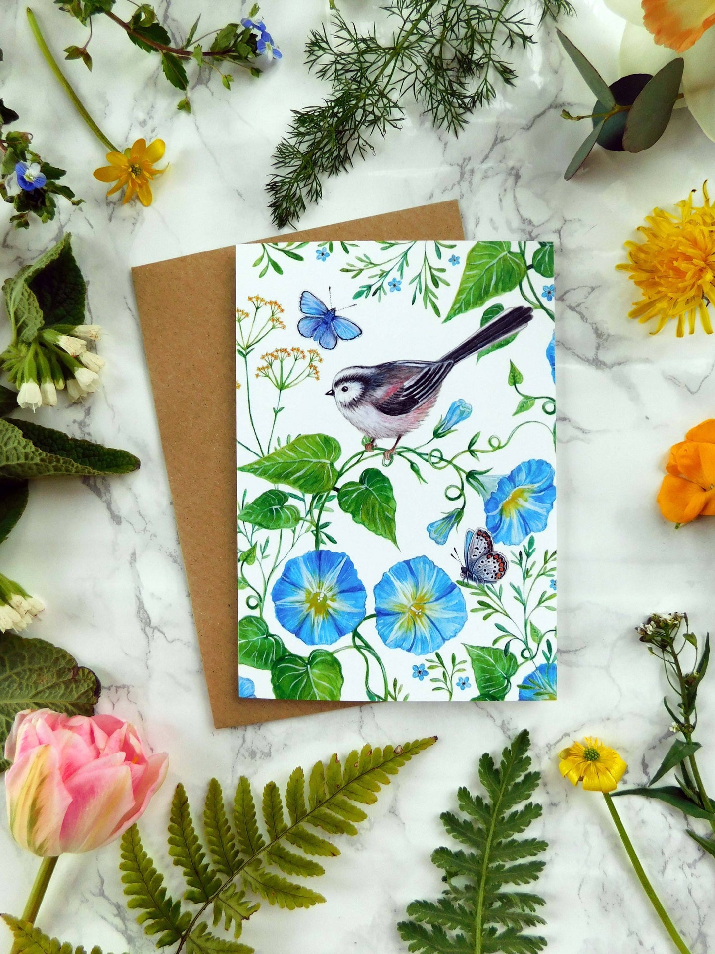 Long Tailed Tit Bird Greetings Card