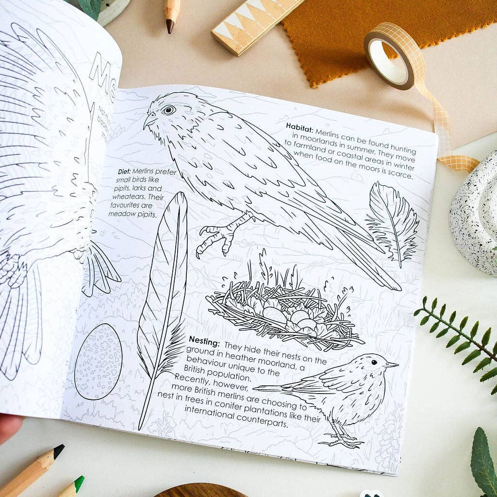 British Bird of Prey Educational Colouring Book