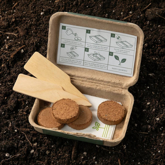 Little Gardener’s Mini Growing Kit