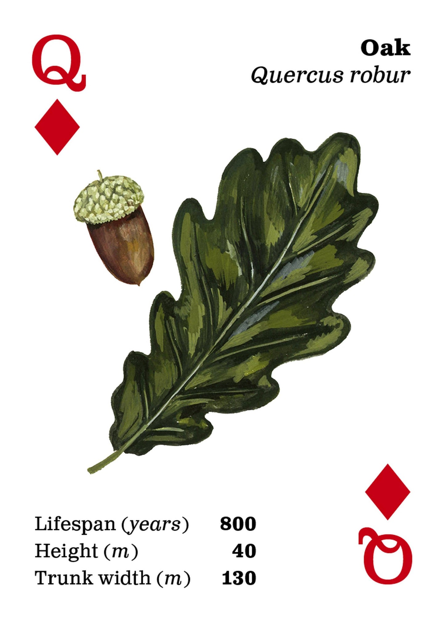 Top Trees Playing Cards
