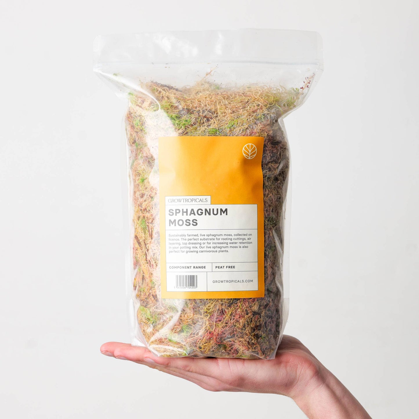 Sphagnum Moss (Live)